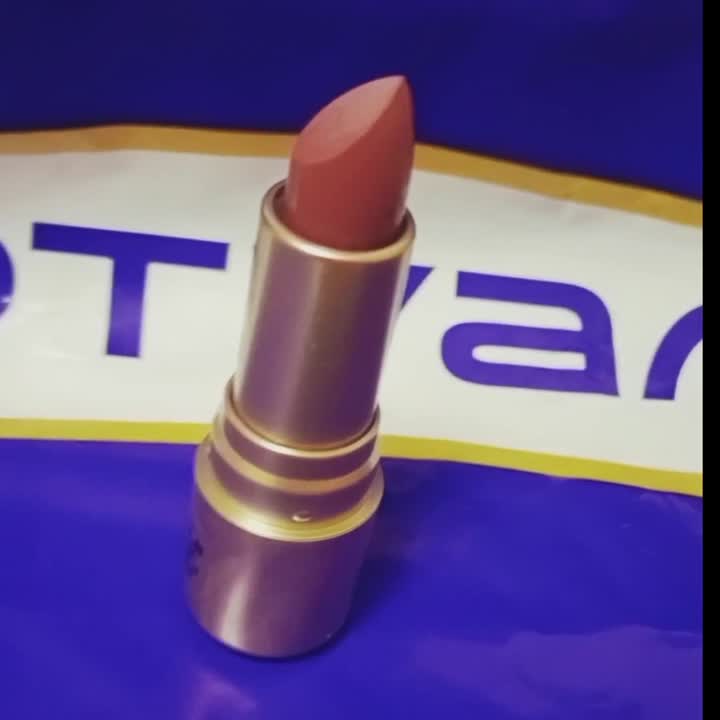 Помады VIVIENNE SABO Губная помада Nude Createur – купить в Москве по ...