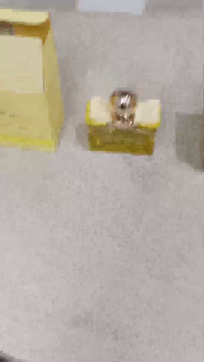 Женская парфюмерия SALVATORE FERRAGAMO Signorina Libera – купить в ...