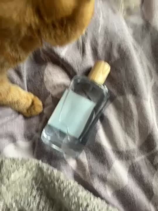 SOUL OF RUSSIA Sochi купить по цене 2399₽ в ЛЭТУАЛЬ