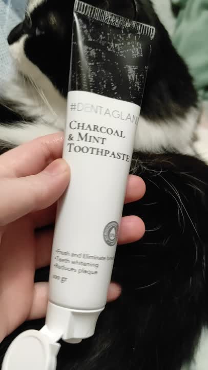 #DENTAGLANZ Зубная паста Charcoal & Mint Toothpaste, 100 г купить по ...